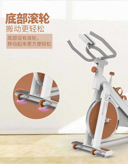 汤河店动感单车 家用智能健身器材的理想之选