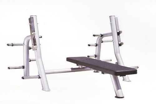 健身房核心设备全解析 从跑步机到力量器械，选择优质生产厂家的重要性